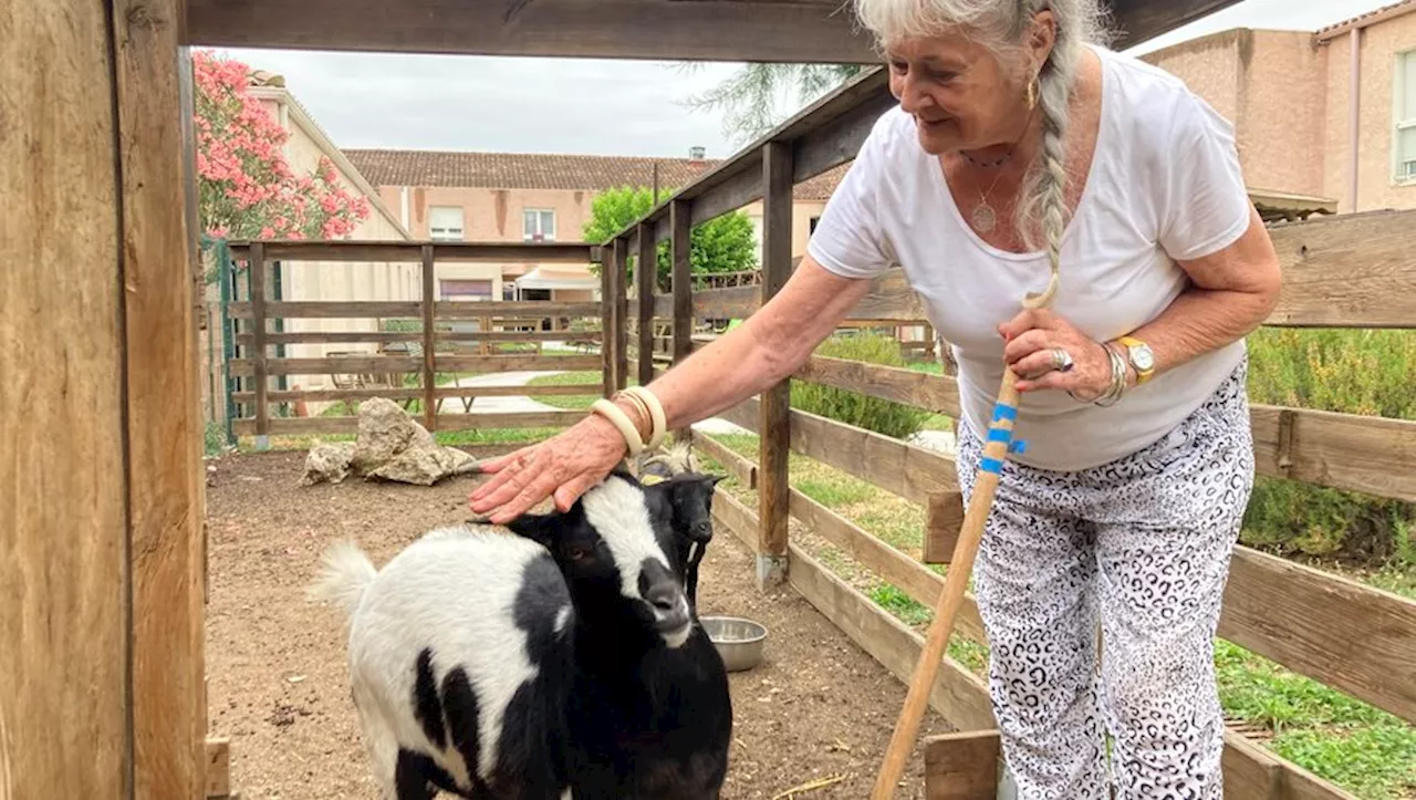 Gigean Cette ferme ma sauvé la vie à Gigean lEhpad la Colombe