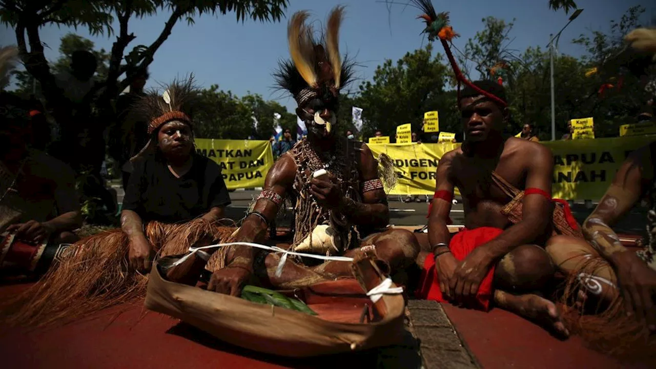 Deforestasi All Eyes On Papua Bagaimana Jejak Perjalanan Suku Awyu