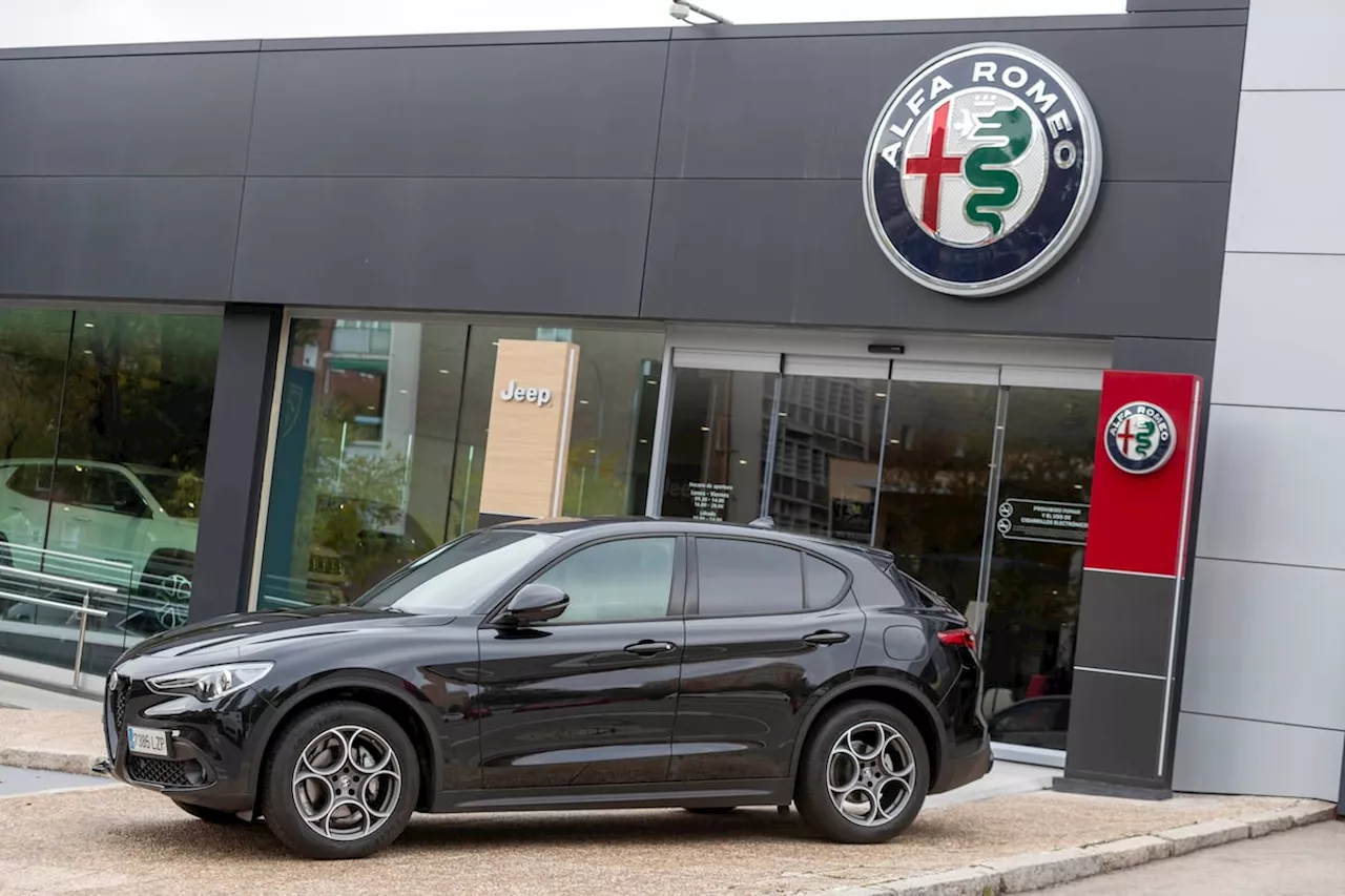 Las Matriculaciones Crecen En Junio Gracias Al Rent A Car Que Se