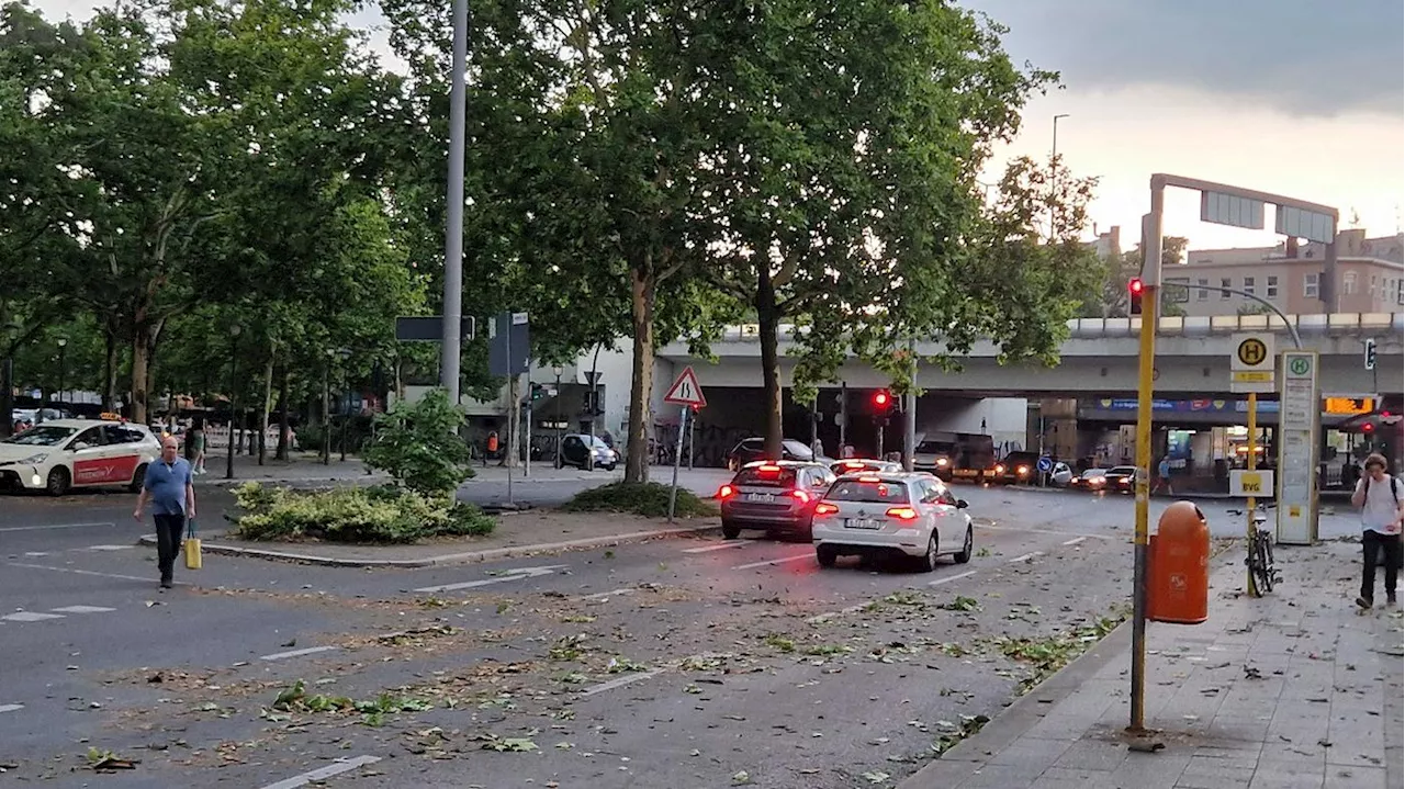 Überschwemmte Keller und herabstürzende Äste Unwetter mit Starkregen