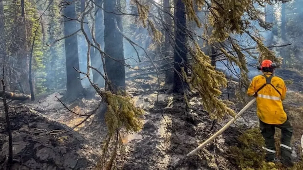 Wildfire Threatening Jasper National Park And Town Prompts Evacuation