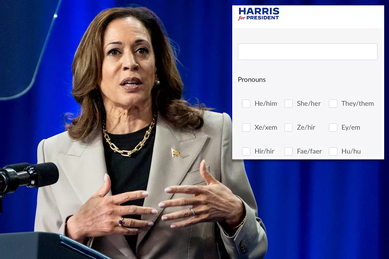 Us News Harris Campaign Job Seekers Have Different Pronoun Options