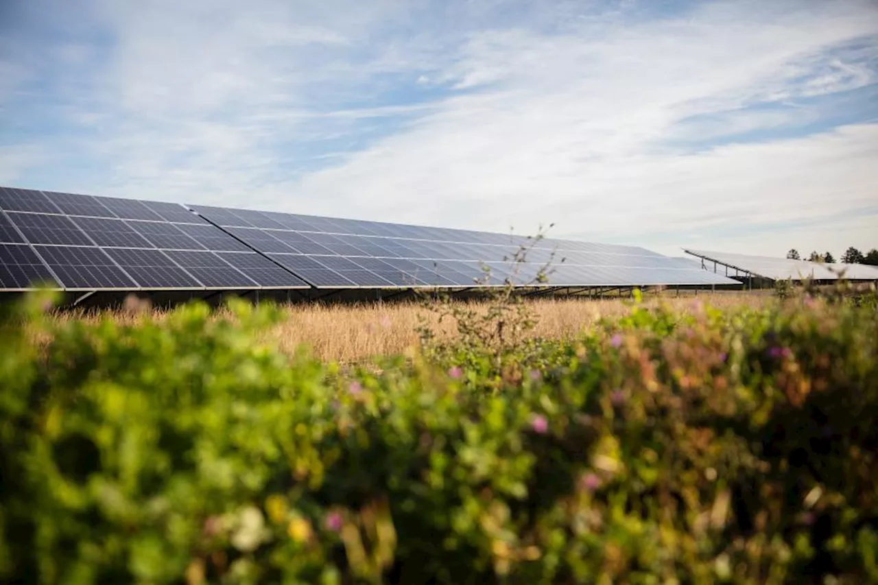 Solcelleanl G Kan Snart Ikke L Ngere Betale Sig Energi