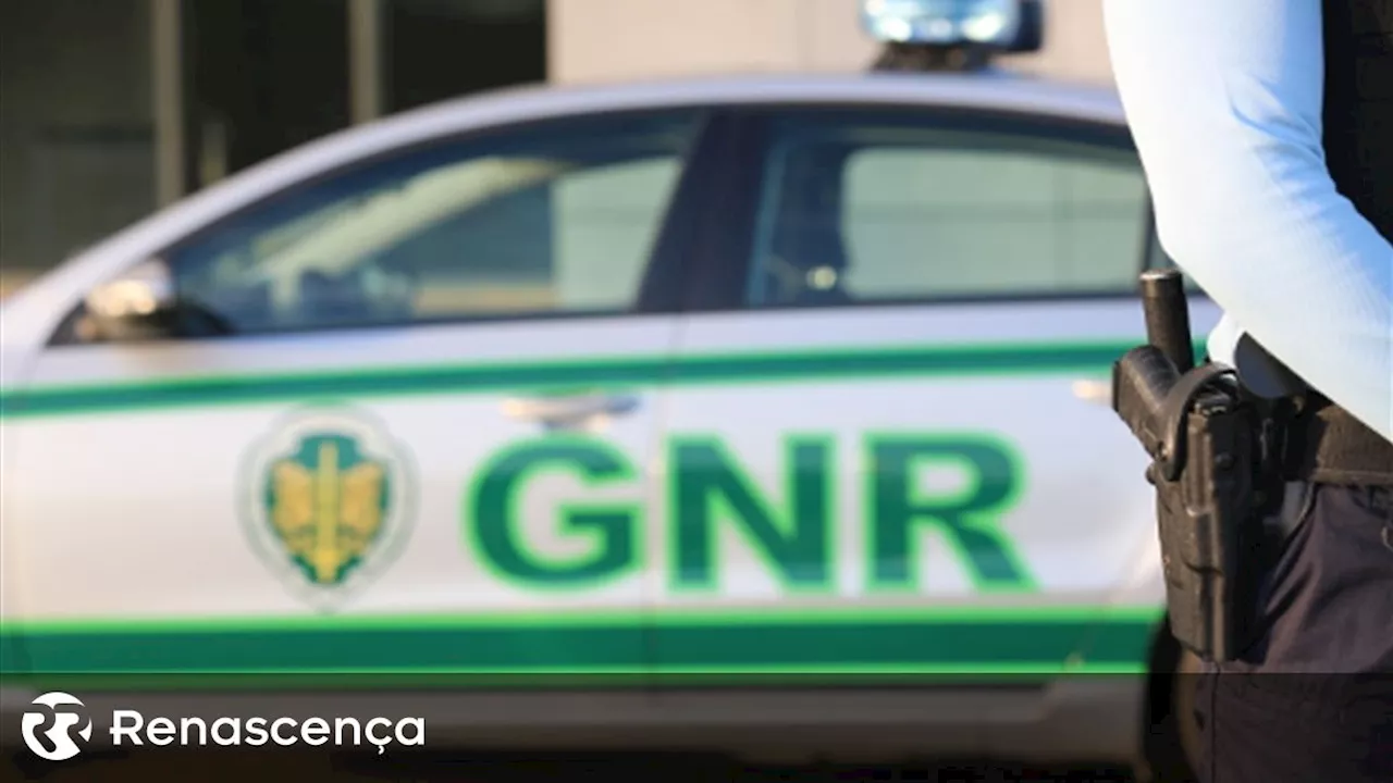 GNR apreende 9 200 litros de bebidas espirituosas de produção ilegal na