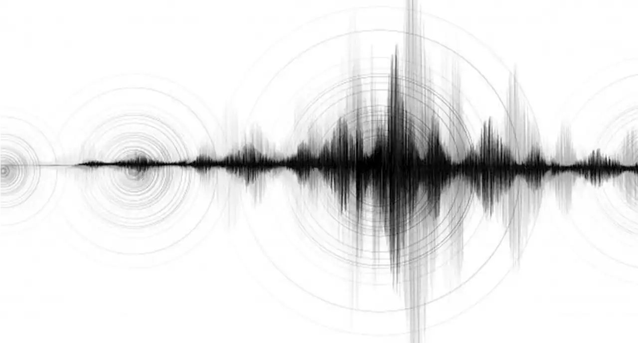 Gempa M5,1 Guncang Halmahera Barat, BMKG: Tidak Berpotensi Tsunami : Okezone Nasional