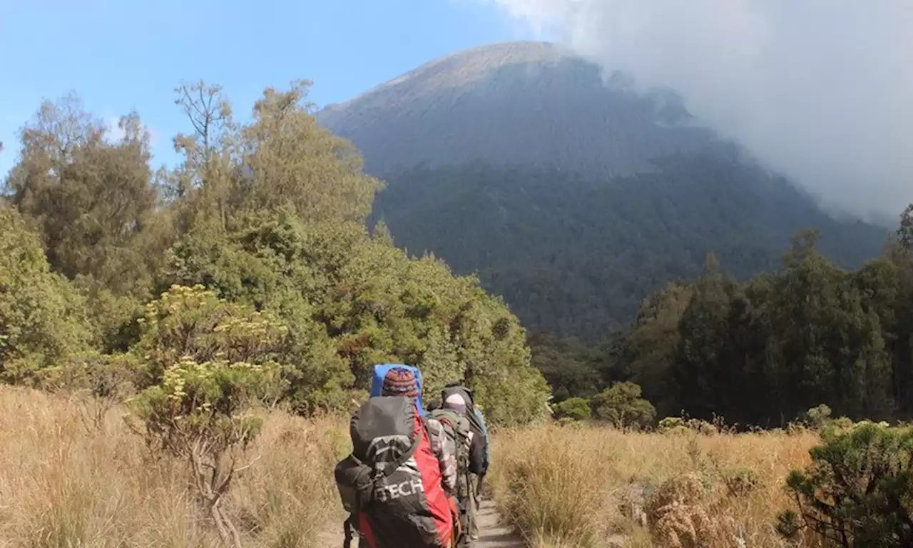 Sempat Mengeluh Sakit Perut, Pendaki Asal AS Meninggal di Gunung Semeru : Okezone News