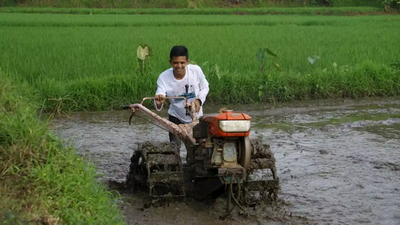 Tarik Minat Pemuda Millenial, Kementan Gencarkan Mekanisasi dan Digitalisasi Alsintan : Okezone News