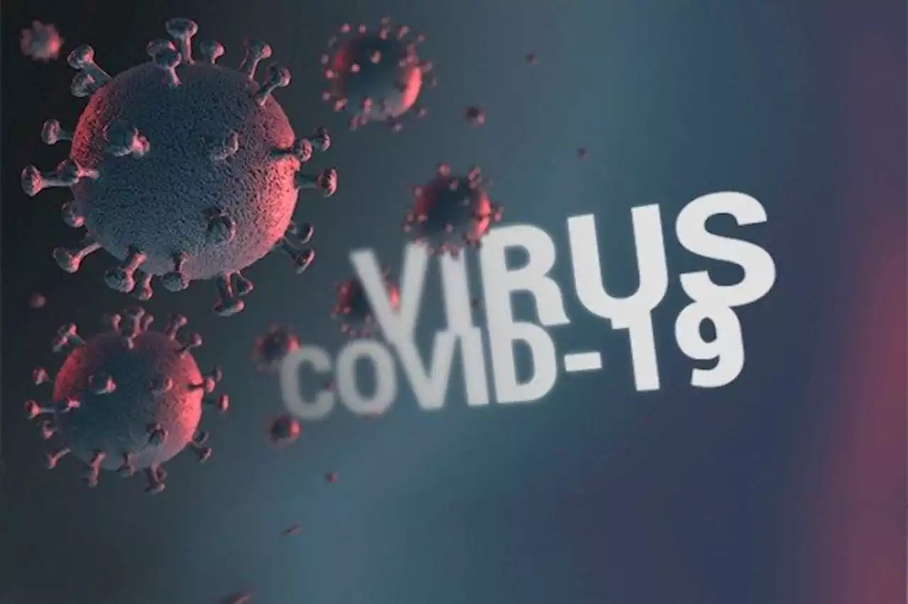 WHO: Pasien Sembuh COVID-19 Tidak Kebal Virus Corona : Okezone News