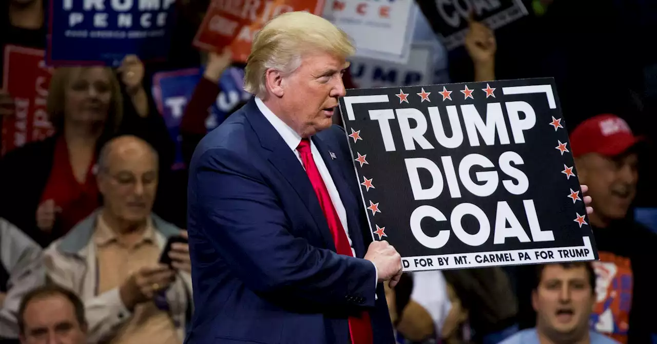 Trump loves coal, hates climate action but investors are fighting back