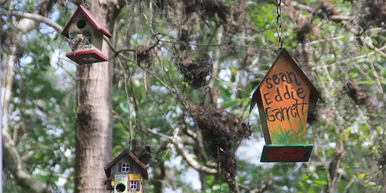 Remember Your Loved One—Build a Birdhouse - SAPIENS