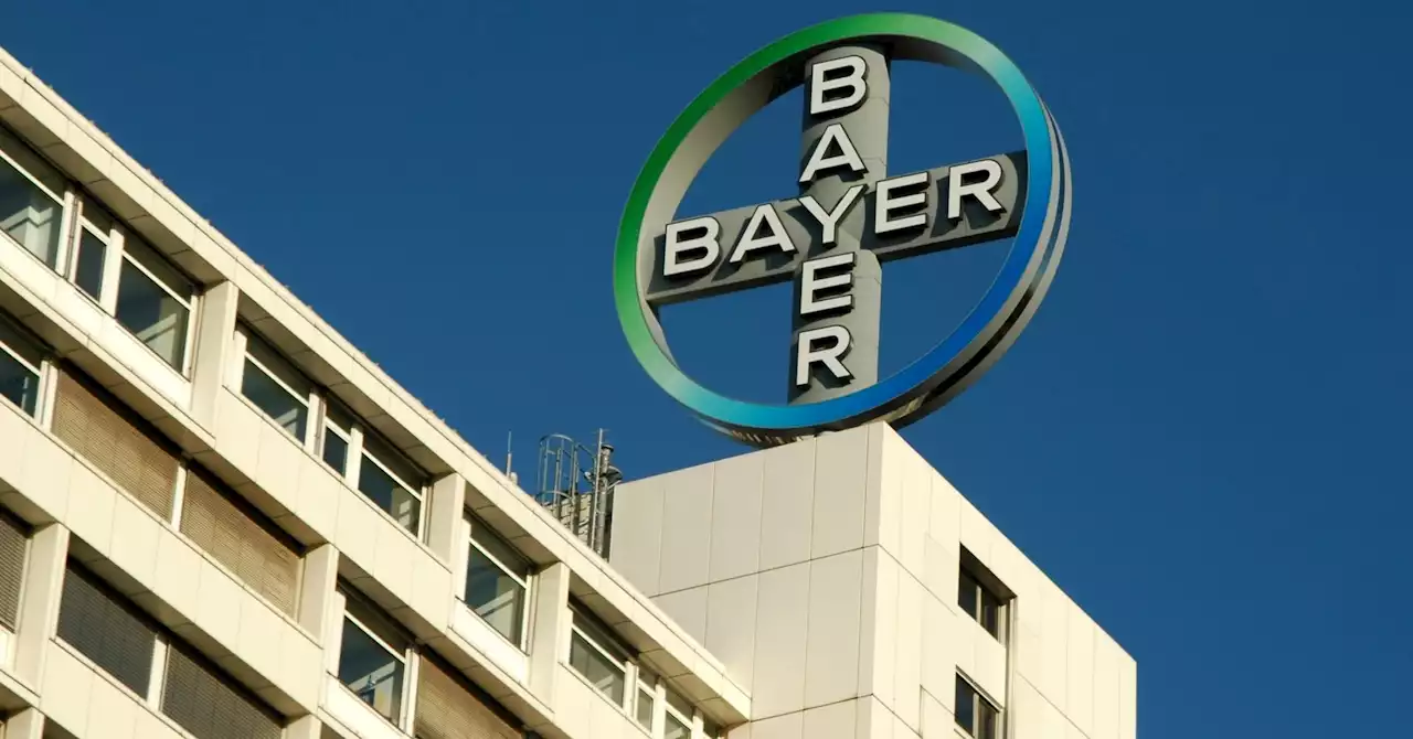 US jury rules against Bayer in Roundup cancer case