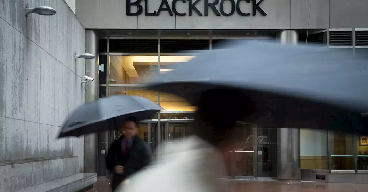 World's largest money manager BlackRock sharpening focus on alternative investing to boost growth