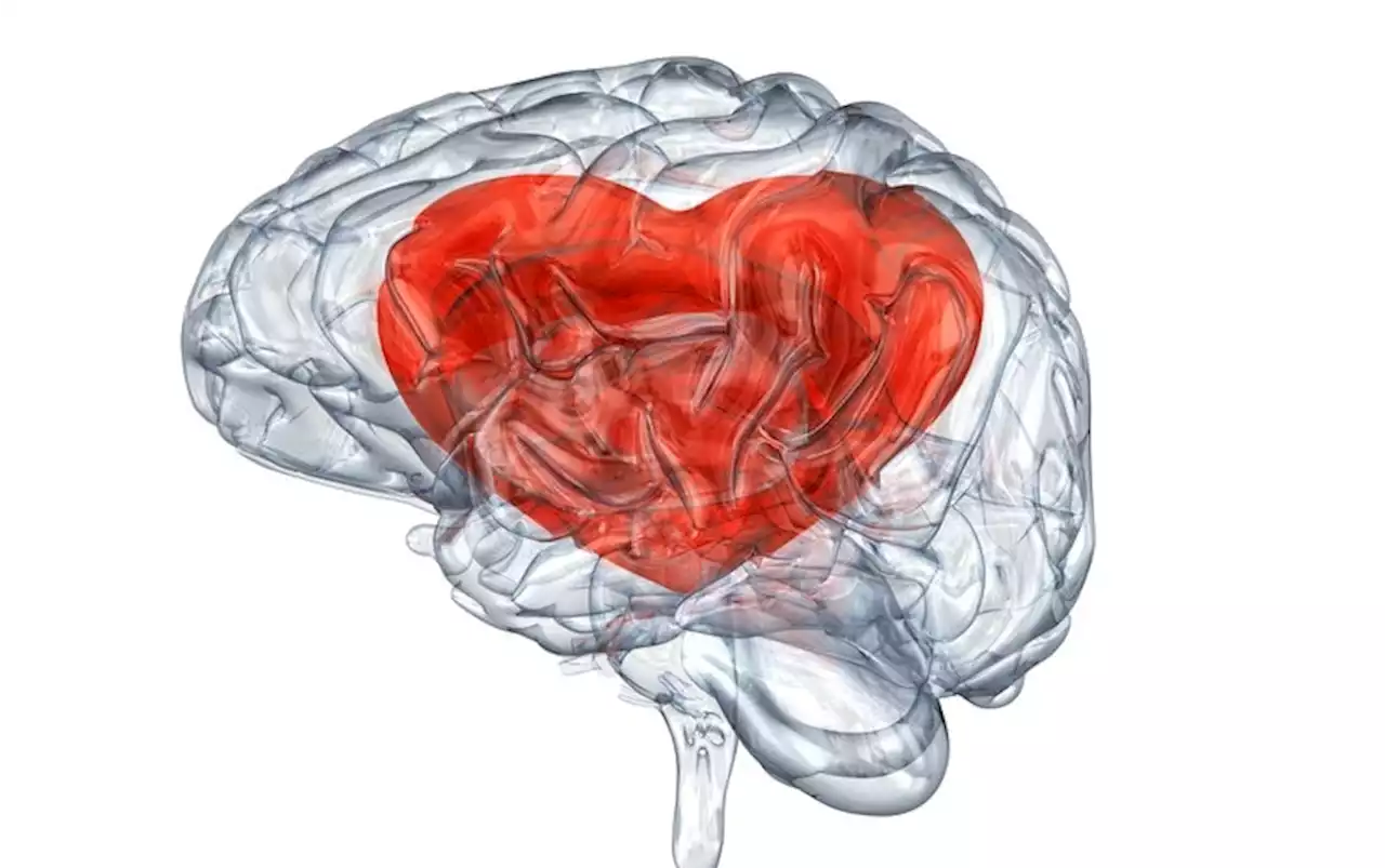 What Goes On in Our Brains When We Are in Love?