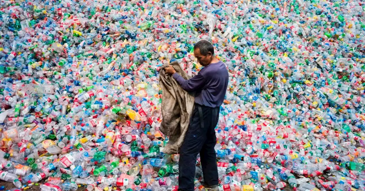 California proposes phaseout of single-use plastics by 2030