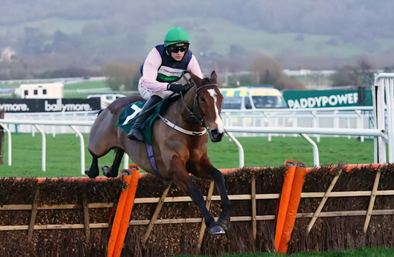 Danny Mullins wraps up brilliant Christmas run with Cheltenham win on Stormy Ireland