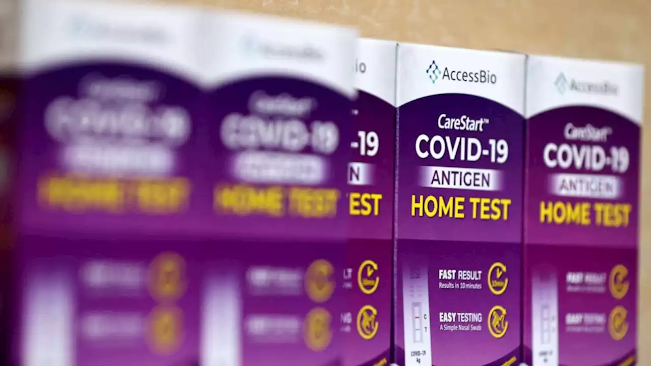 The government is sending free rapid tests, but don’t expect them all before omicron's peak