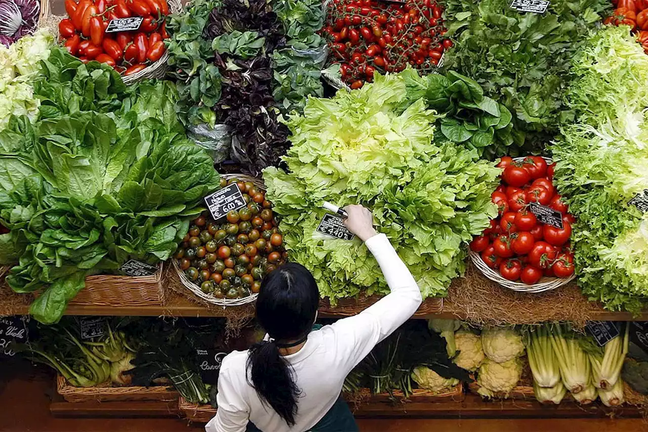 Global food costs ease from near record, offering respite from inflation - BusinessWorld Online