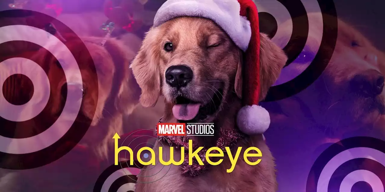 New 'Hawkeye' Featurette Reveals Lucky the Pizza Dog's Furry Actor Did All Her Own Stunts