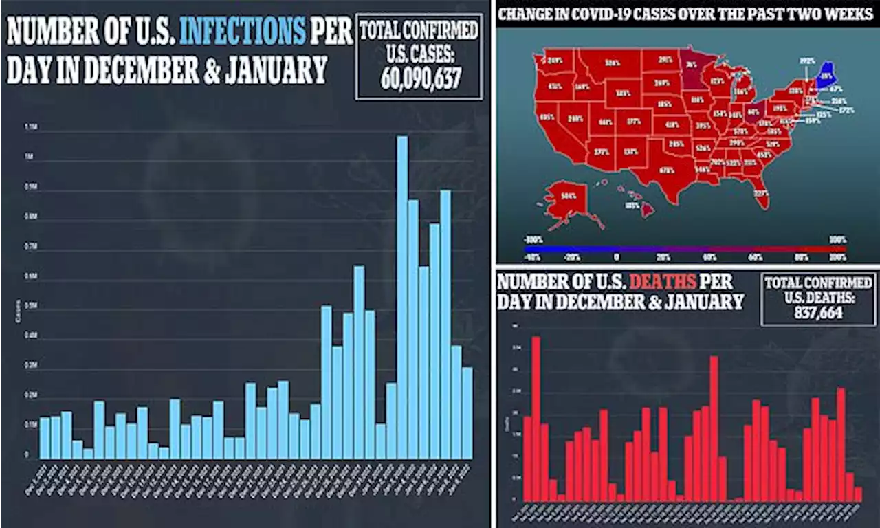 More than 130,000 Americans are hospitalized with Covid