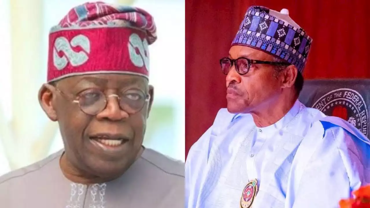 2023: 'Expect more hardship' - Nigerians react as Tinubu informs Buhari of his presidential ambition
