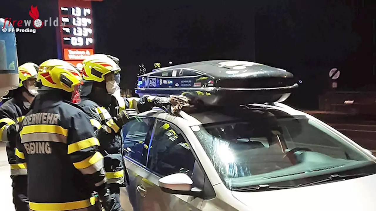 Stmk: Waldkauz aus Pkw-Dachbox-Zwischenraum auf Tankstelle in Preding befreit