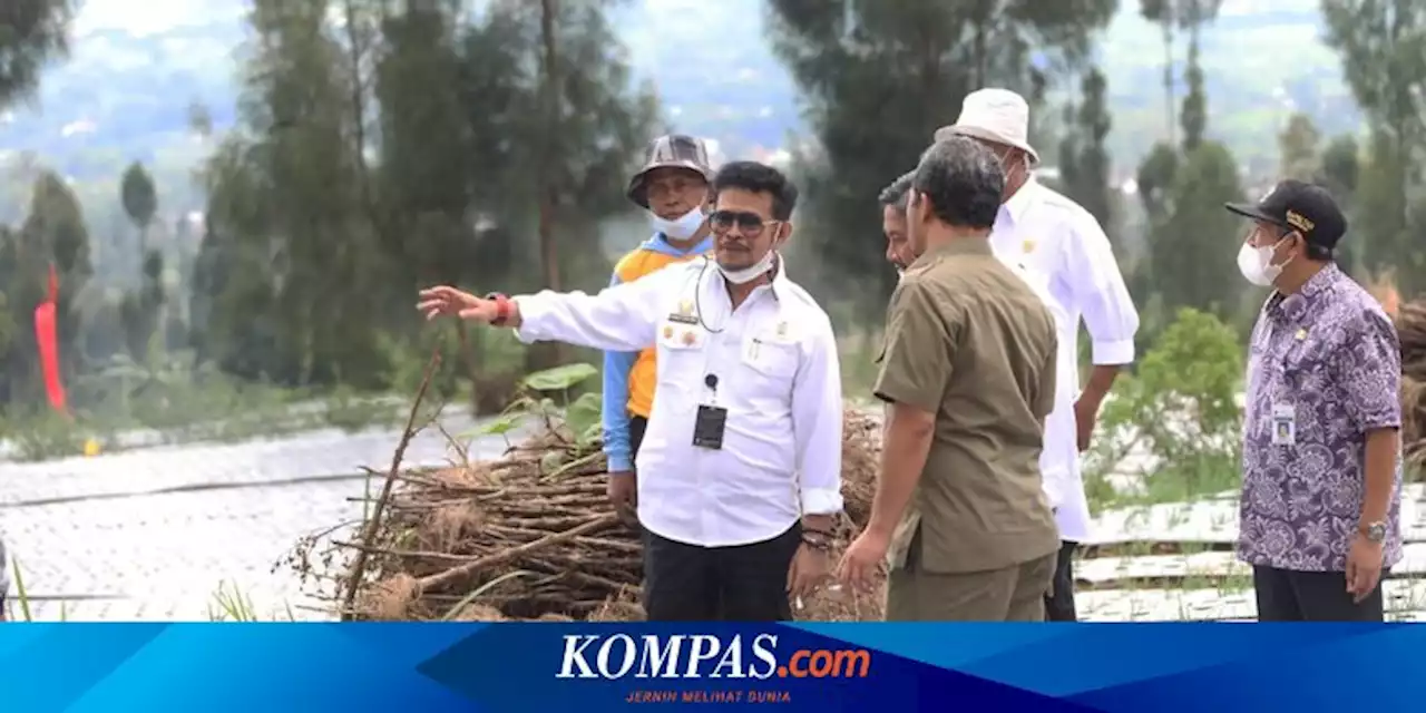 Mentan SYL Sebut Kenaikan Harga Telur Ayam Masih Dalam Titik Batas Wajar