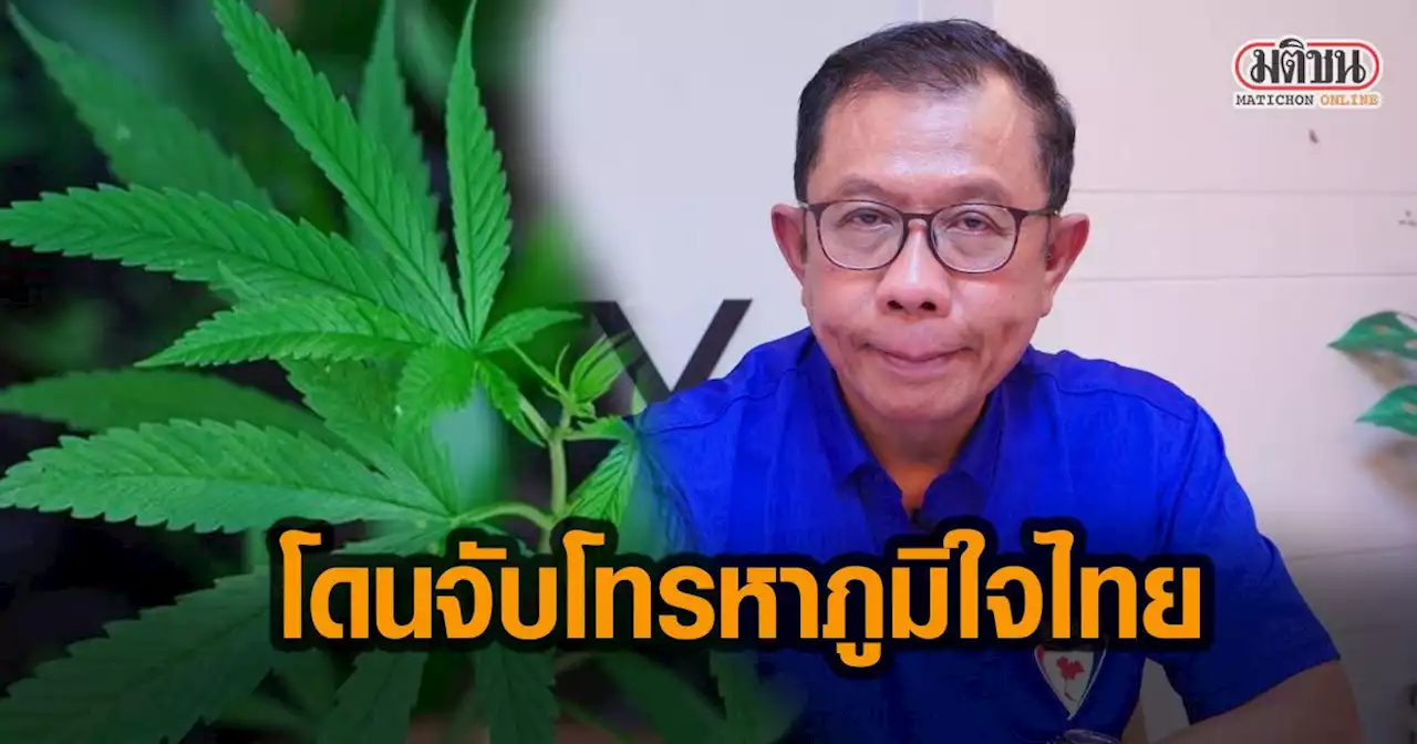 'ศุภชัย' ประกาศชัด ปลูกกัญชาไม่ผิด กม.ตั้งแต่ 9 ธ.ค.64 ลั่นใครโดนจับ โทรหาพรรคภูมิใจไทย
