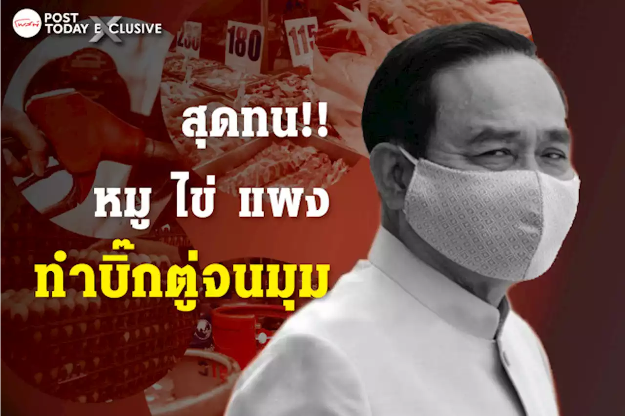 หมูแพงยกเล้า ไข่แพงยกแผง สุดทนรัฐบาลเอาไม่อยู่