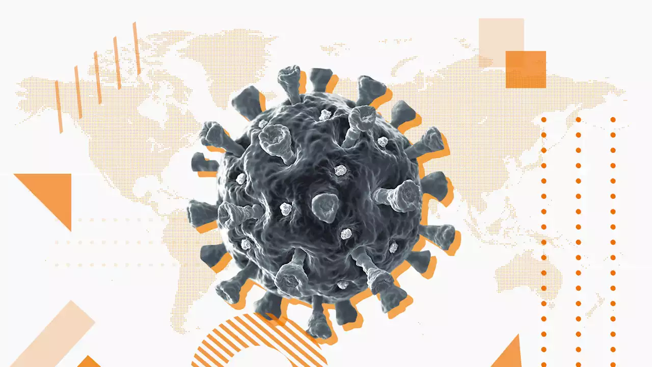 Mapa del coronavirus en el mundo y datos de su evolución