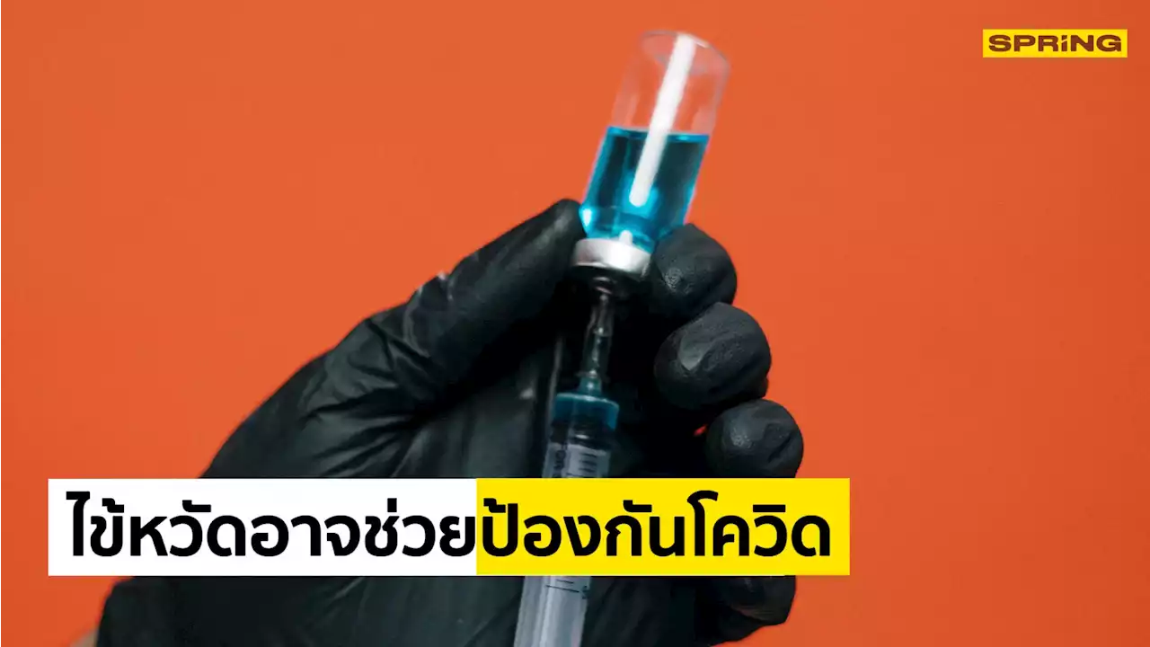 งานวิจัยเผย ไข้หวัดอาจช่วยให้เราติดโควิด-19 น้อยลง