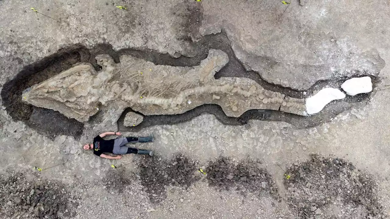 Scientists unearth a 32-foot-long prehistoric 'sea dragon' fossil in Britain