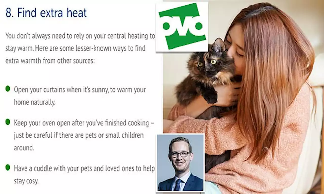 Cuddle the cat to keep warm, says UK's third-biggest energy supplier