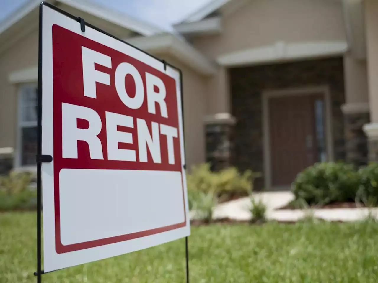 Worst NSW suburbs to be a tenant: 20 markets where rental homes are nearly impossible to find - realestate.com.au