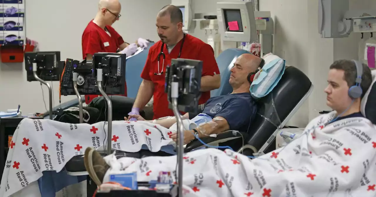 Red Cross says blood supplies are 'dangerously low' amid worst shortage in 10 years