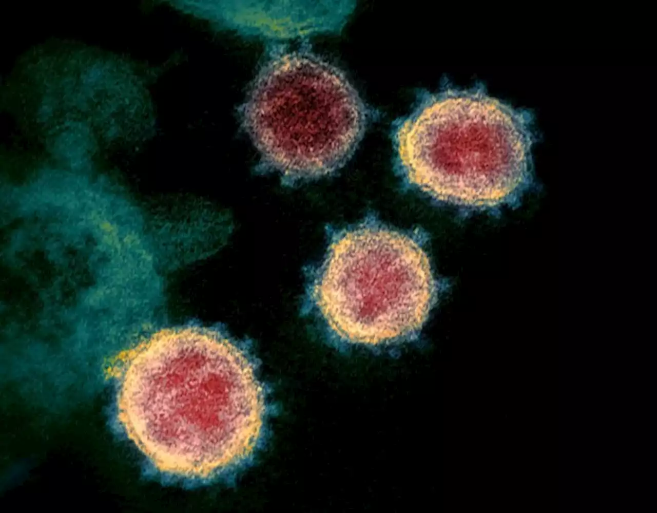 Omicron ‘most evolved variant of SARS-CoV-2‘ — PH Genome Center exec