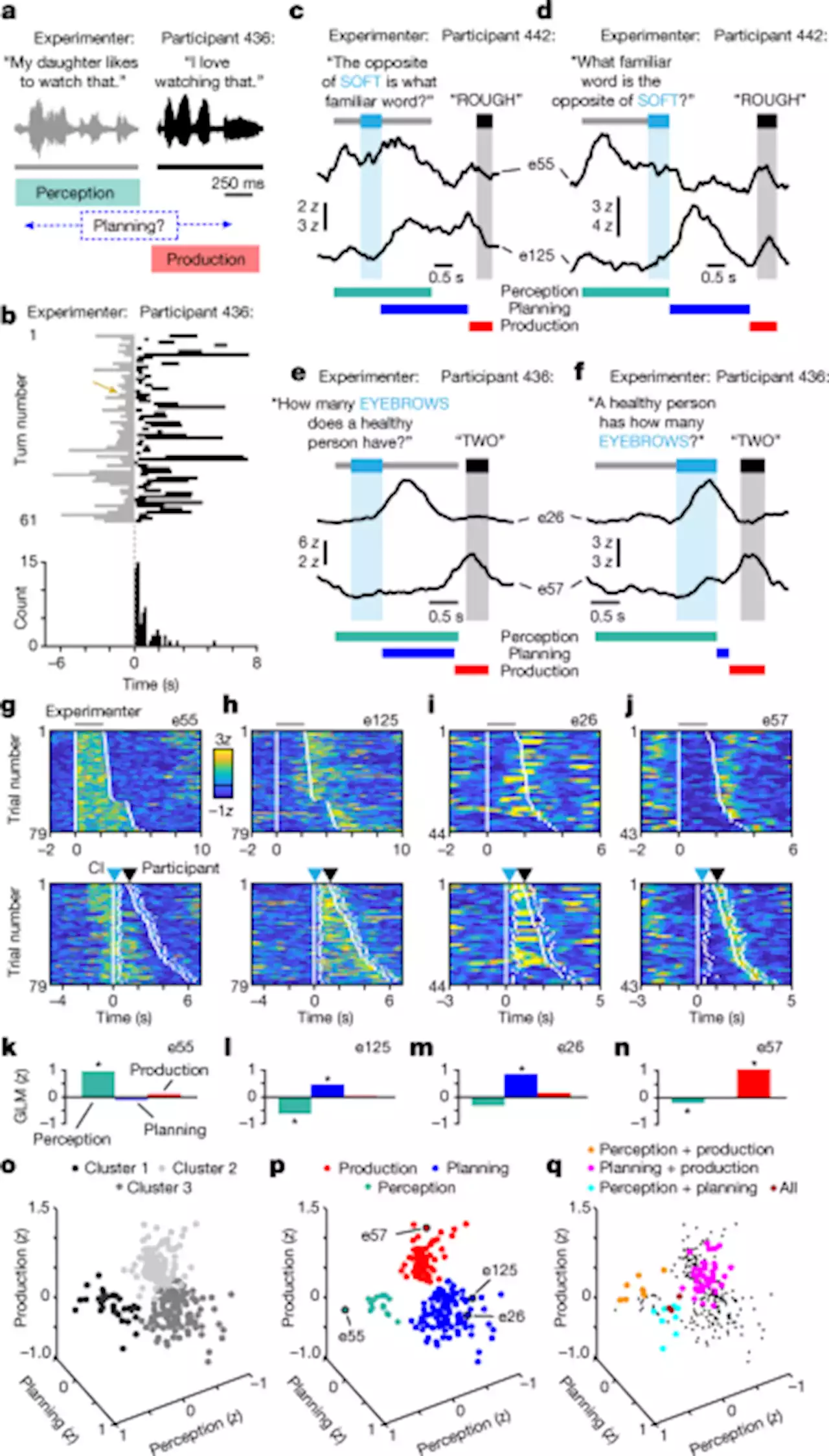 A speech planning network for interactive language use - Nature