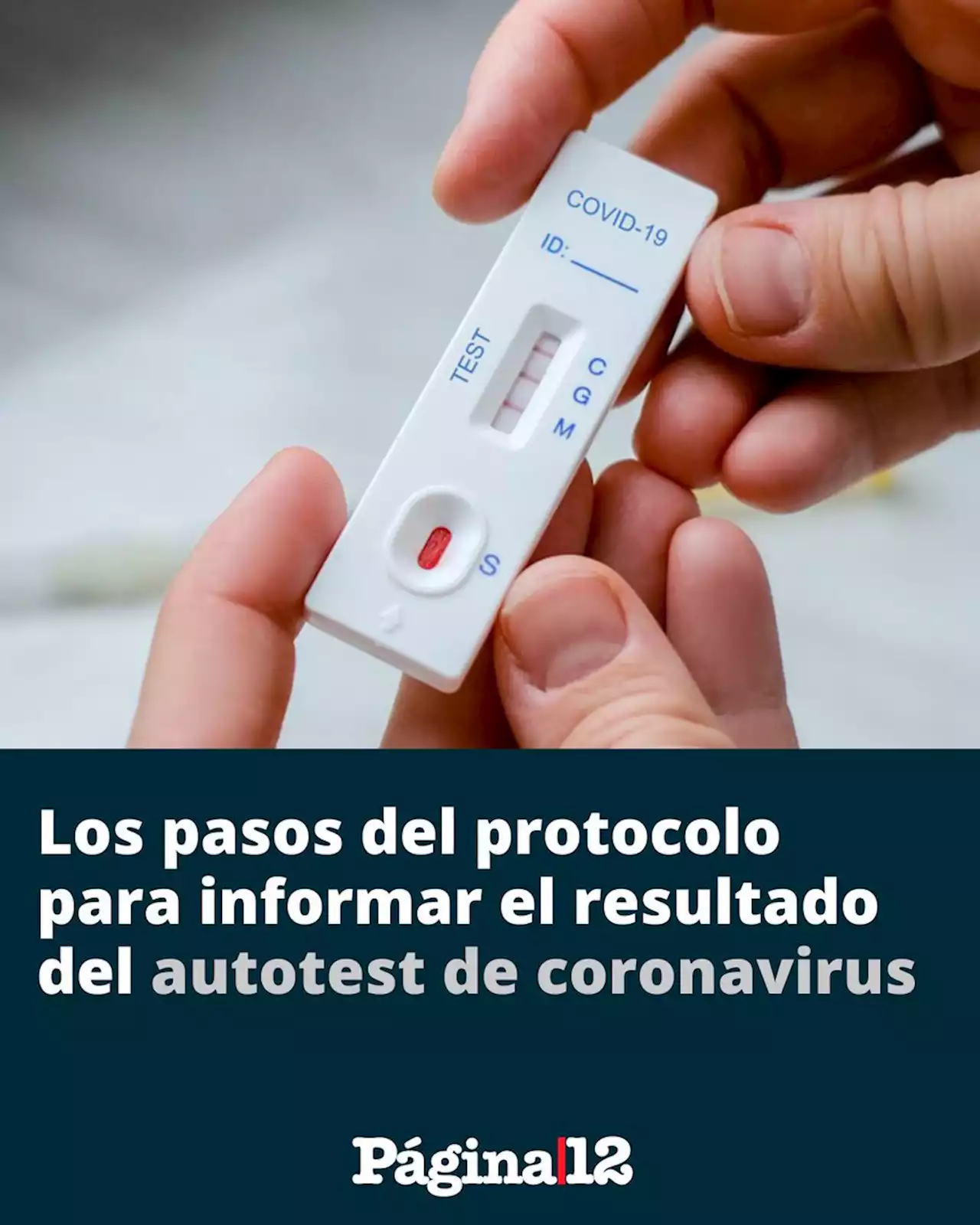 Autotest de covid: cómo es el protocolo para informar el resultado | El Gobierno reglamentó el uso