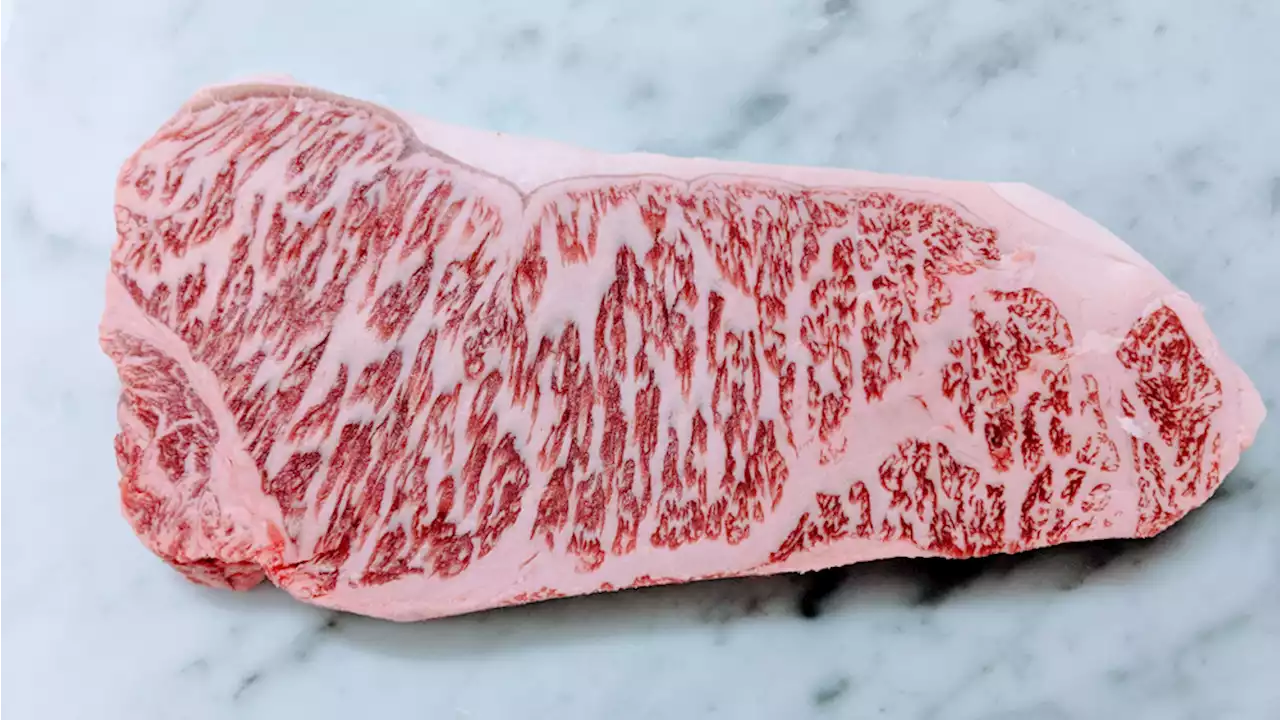 The Ultimate Guide to Wagyu Beef, the World’s Most Luxurious Steak