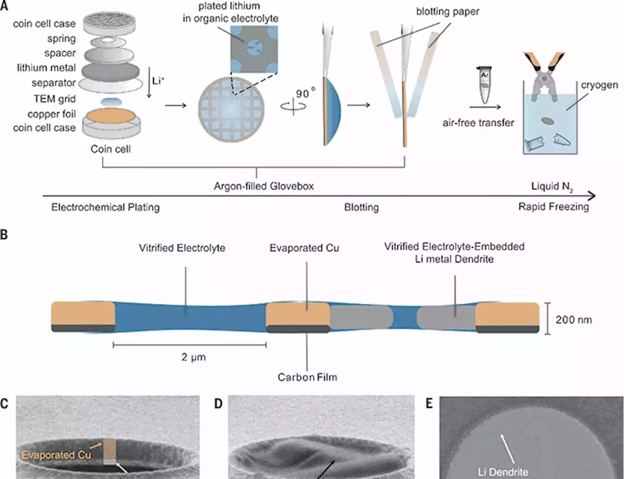 Capturing the swelling of solid-electrolyte interphase in lithium metal batteries