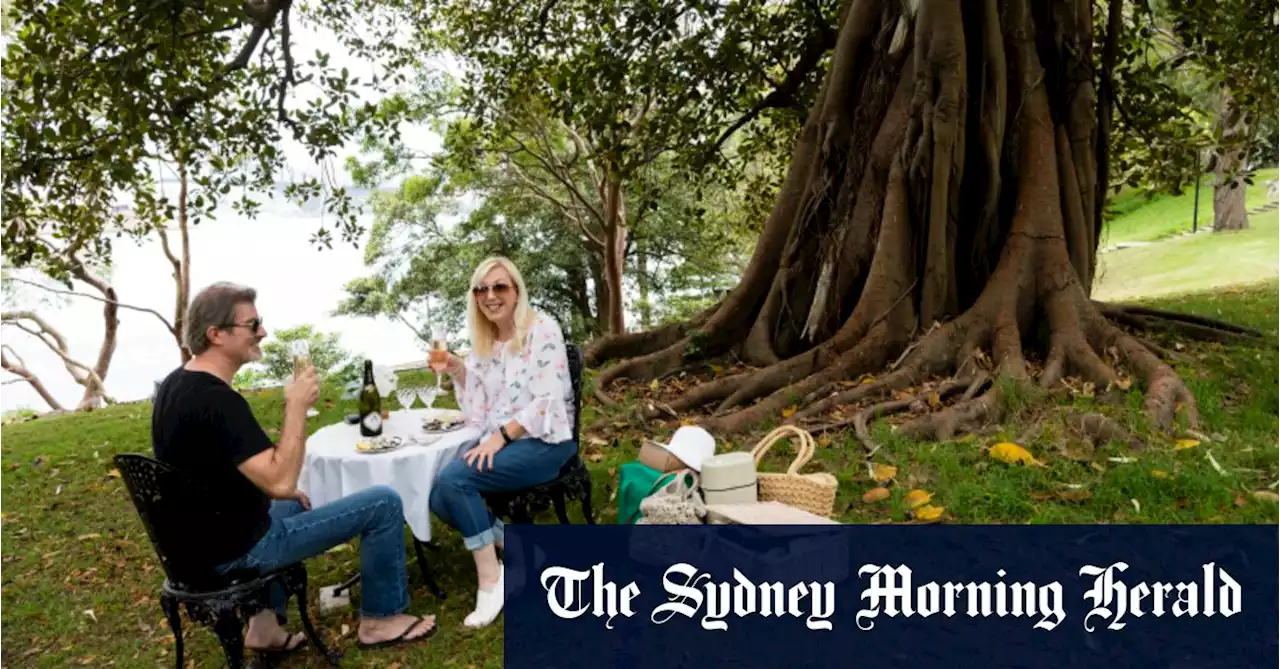 Sydney couple celebrates every anniversary and birthday under one special tree