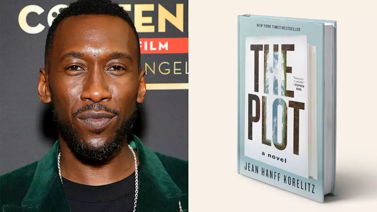 Mahershala Ali Drama ‘The Plot’ Lands Series Pickup at Onyx Collective/Hulu