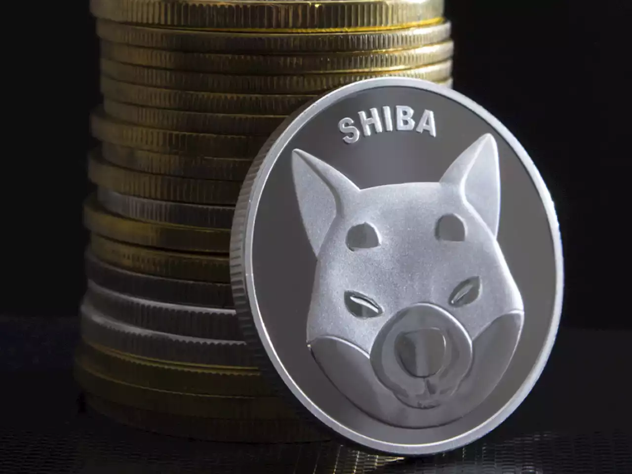 Shiba Inu (SHIB) Fully Retraces Late-October Rally