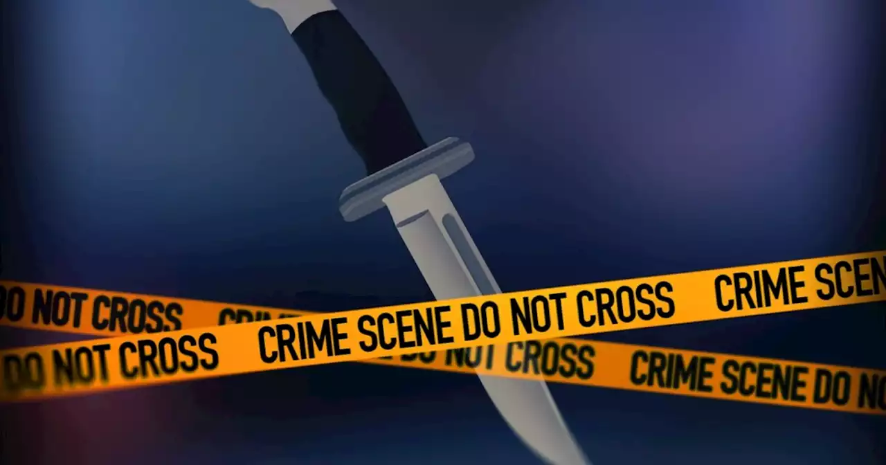 Woman stabbed to death in Mansfield; police seek information