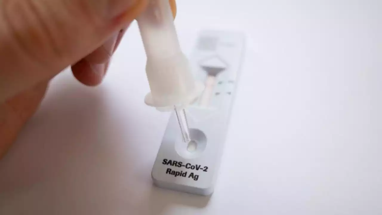 NSW introduces new COVID restriction before rapid test reporting system rolled out