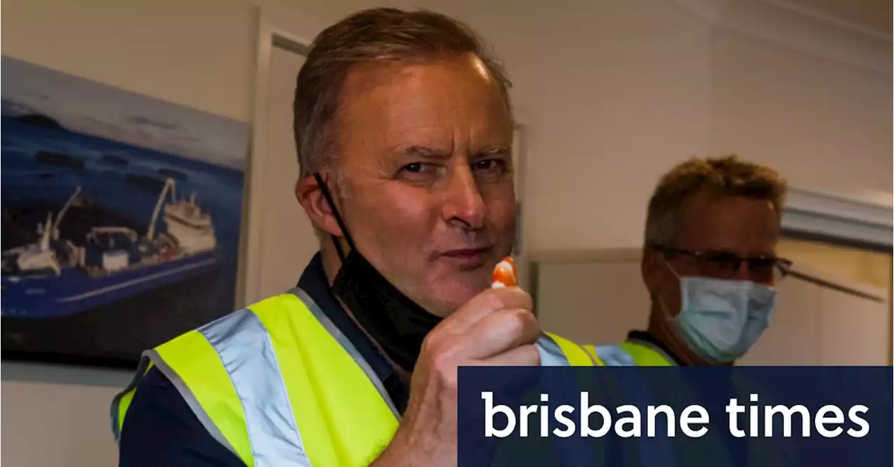 The prawn supremacy: Albanese’s charm offensive in Queensland