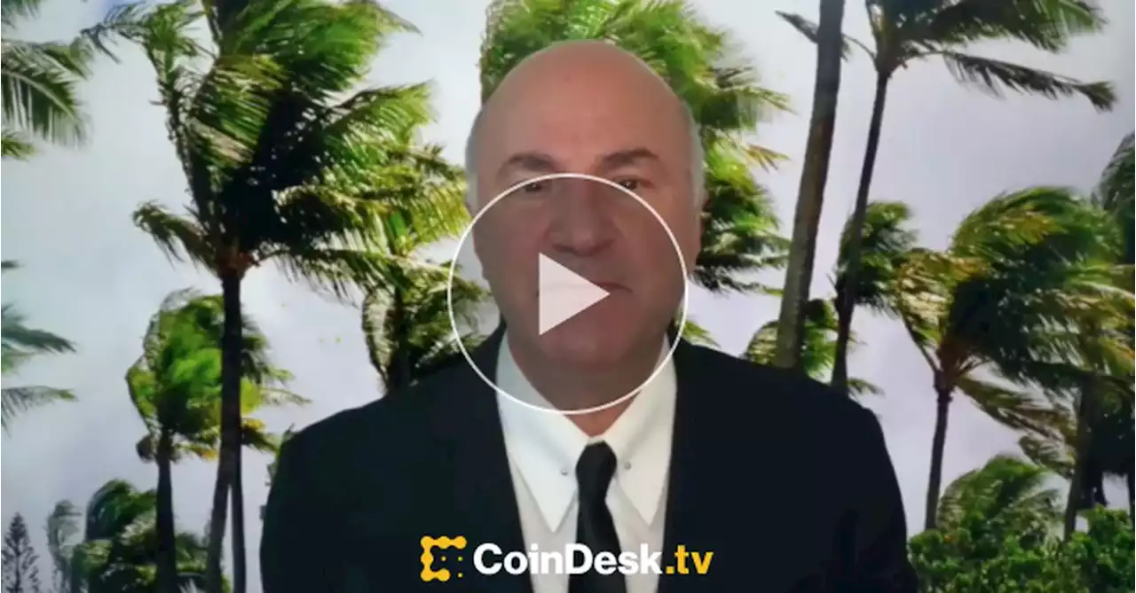 Kevin O'Leary's Crypto Investing Playbook