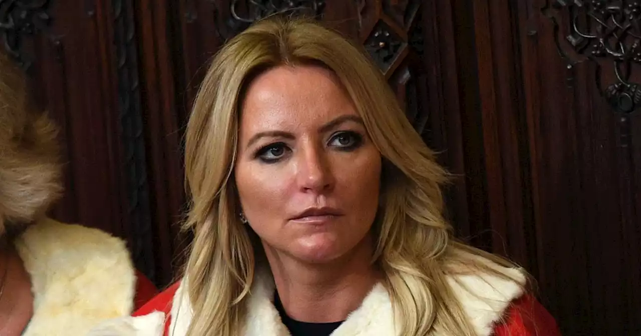 Court claim for at least £200k over Tory peer Michelle Mone's 'racist' message