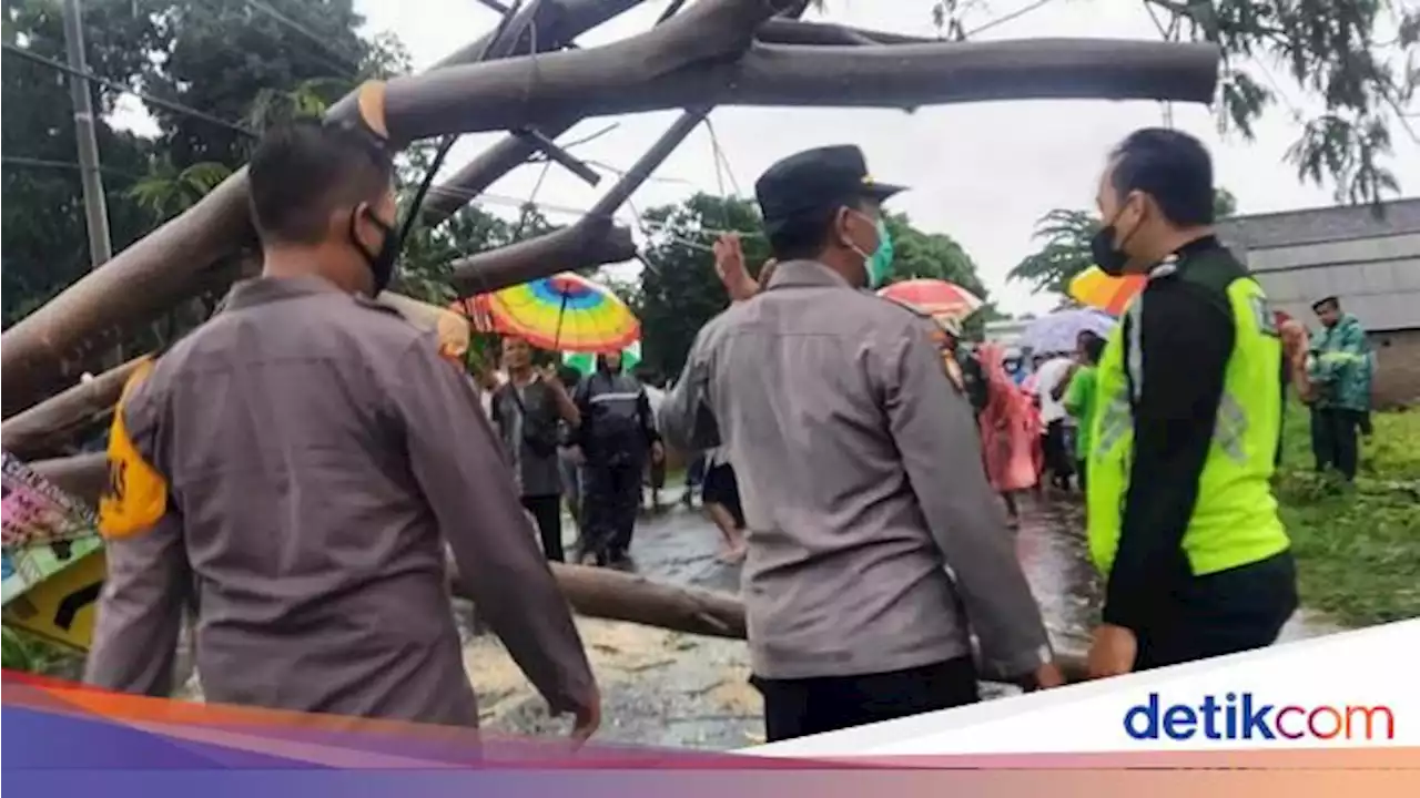 Anggota TNI Tewas Tertimpa Pohon Tumbang di Situbondo