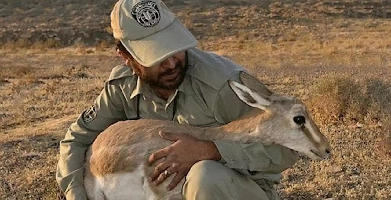 اسلحه خالی: تایید حکم اعدام یک محیط‌بان دیگر