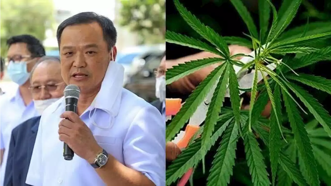 อนุทิน ลั่น! กัญชาถูก กม.ต้องจบในรัฐบาลนี้ ปลูกรักษาตัวเองได้